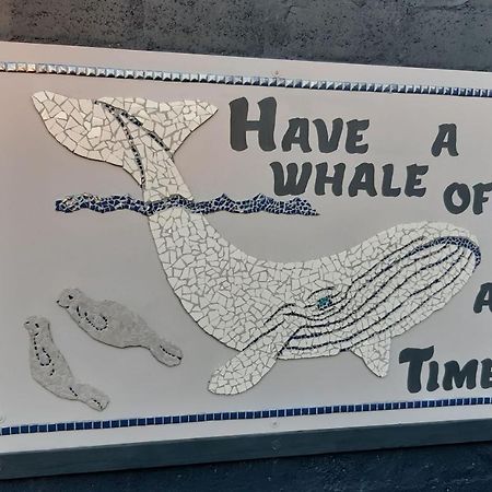 Whale Watch Accommodation 德克尔德斯 外观 照片