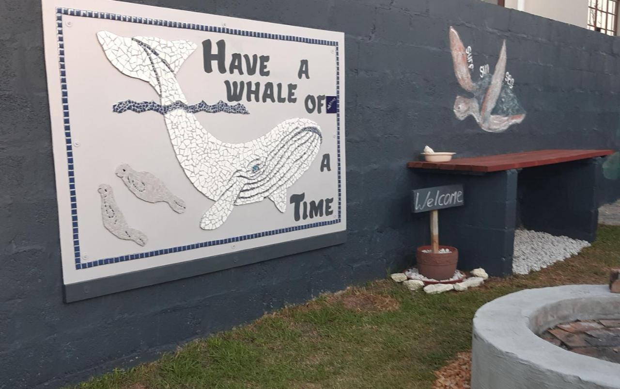 Whale Watch Accommodation 德克尔德斯 外观 照片