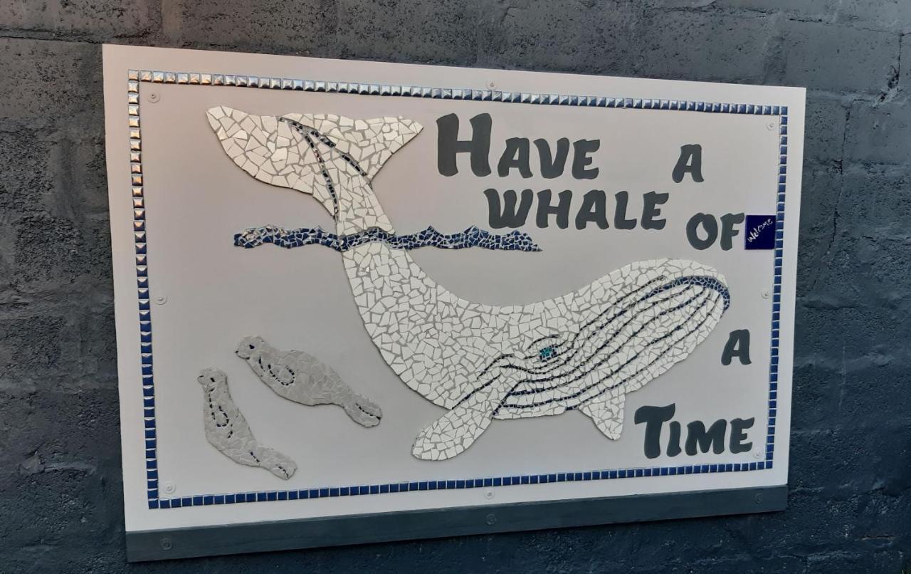 Whale Watch Accommodation 德克尔德斯 外观 照片