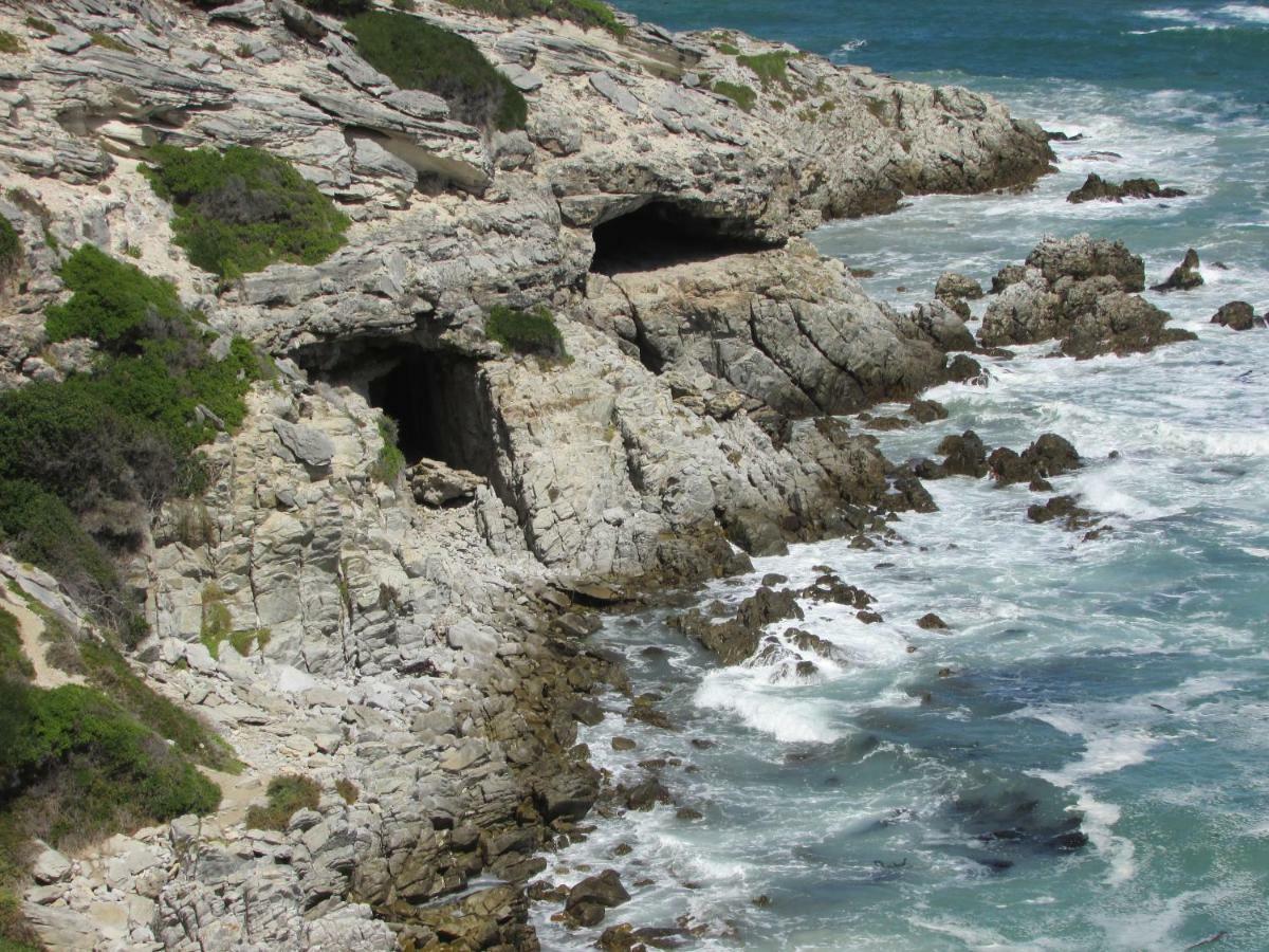 Whale Watch Accommodation 德克尔德斯 外观 照片